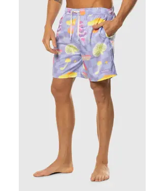 TEAMLTD TEAMLTD Swim Shorts - Fun Guy