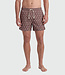 TEAMLTD TEAMLTD Swim Shorts - Wavelength