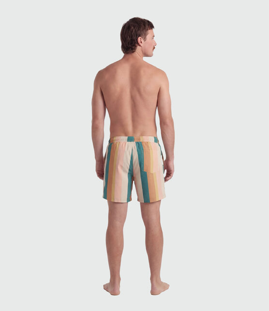 TEAMLTD Swim Shorts - Palette