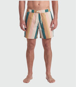 TEAMLTD Swim Shorts - Palette