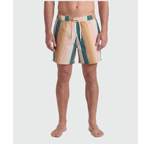 TEAMLTD Swim Shorts - Palette