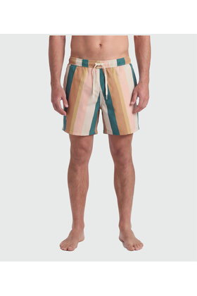 TEAMLTD Swim Shorts - Palette