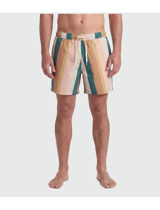 TEAMLTD Swim Shorts - Palette
