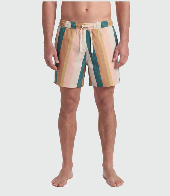 TEAMLTD Swim Shorts - Palette