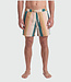 TEAMLTD TEAMLTD Swim Shorts - Palette