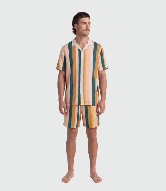 TEAMLTD Swim Shorts - Palette