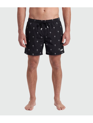 TEAMLTD Swim Shorts - Black Mini Palm