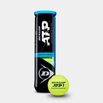 Dunlop ATP Championship Extra Duty Case (24 Can)