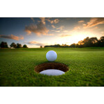 Double Eagles League Dues