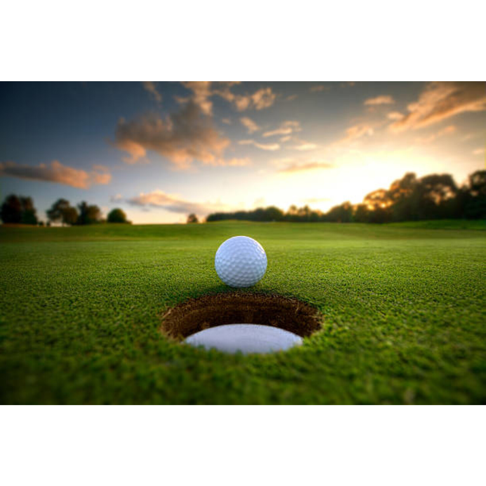 Double Eagles League Dues