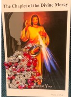 DIVINE MERCY/FAUSTINA PHOTO ROSARY W/PRAYER CARD