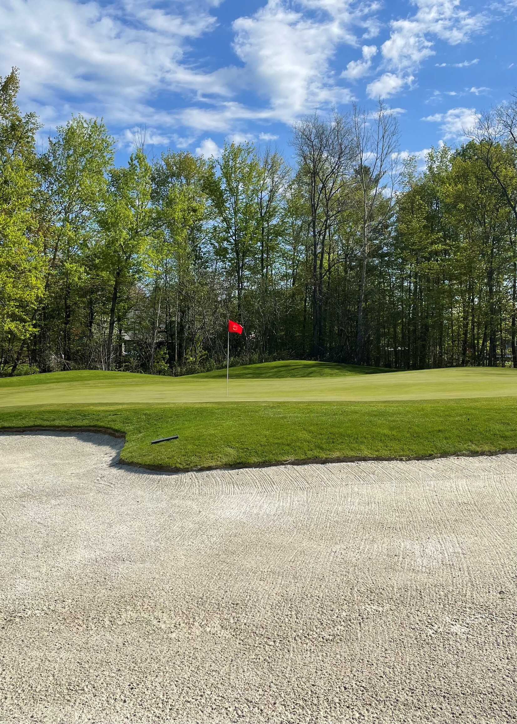 BLACK FRIDAY TWOSOME SPECIAL!