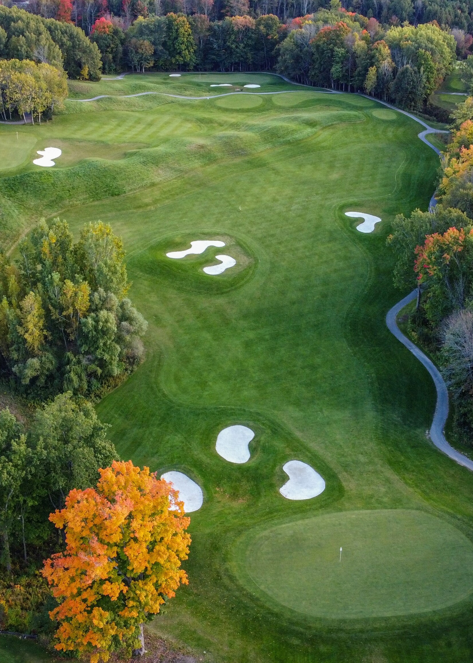 2025 TWO-BALL AT TIMBER REGISTRATION