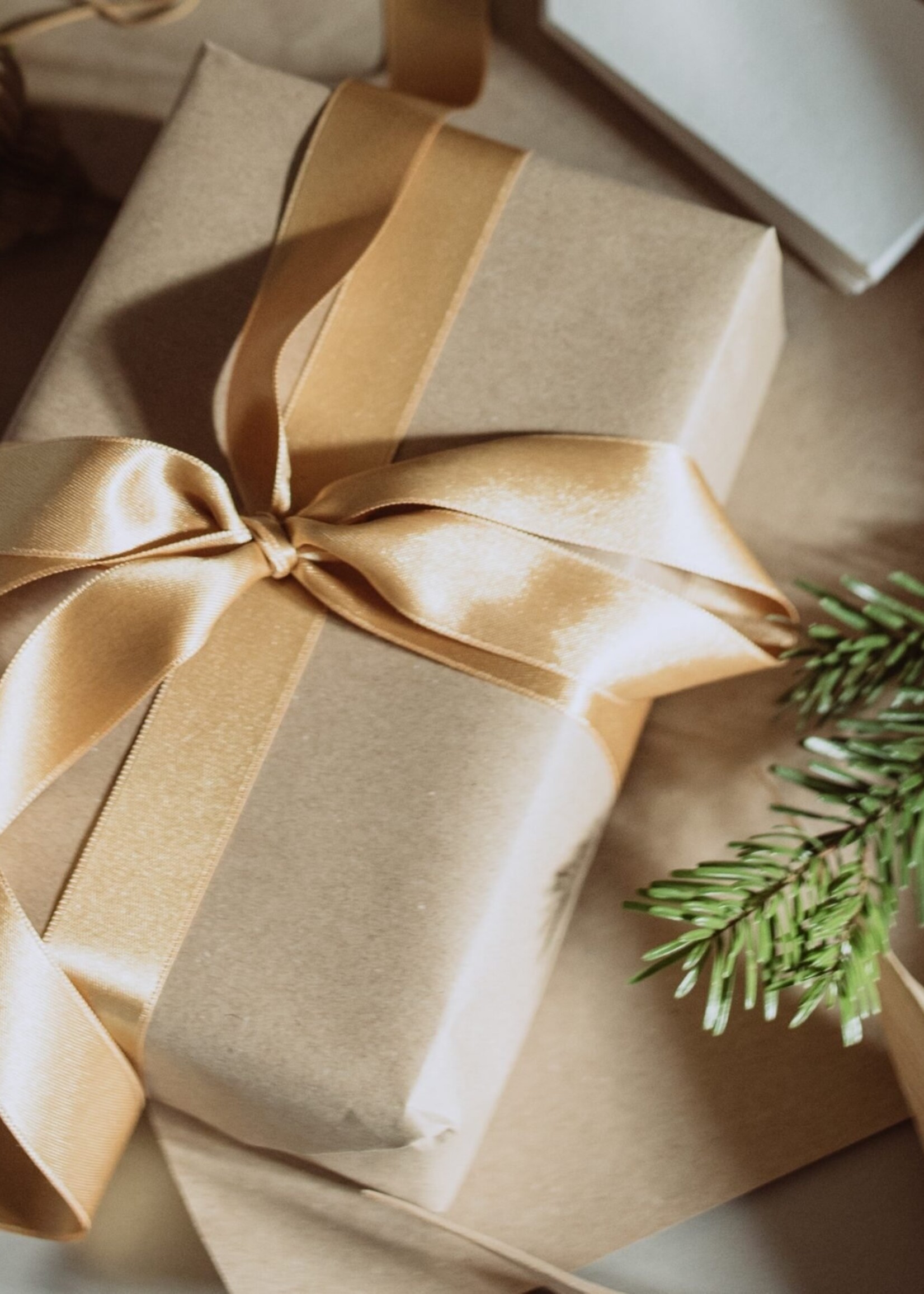 2025 HOLIDAY PLATINUM PACKAGE