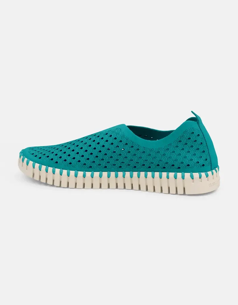 Ilse Jacobsen Full Scallop Tulip Flats