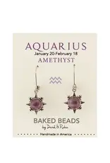 Baked Beads Zodiac Earrings