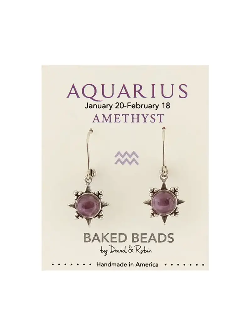 Baked Beads Zodiac Earrings