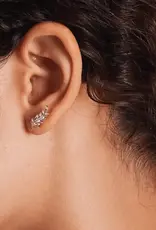 Boma Leaf Crawler Stud Earrings