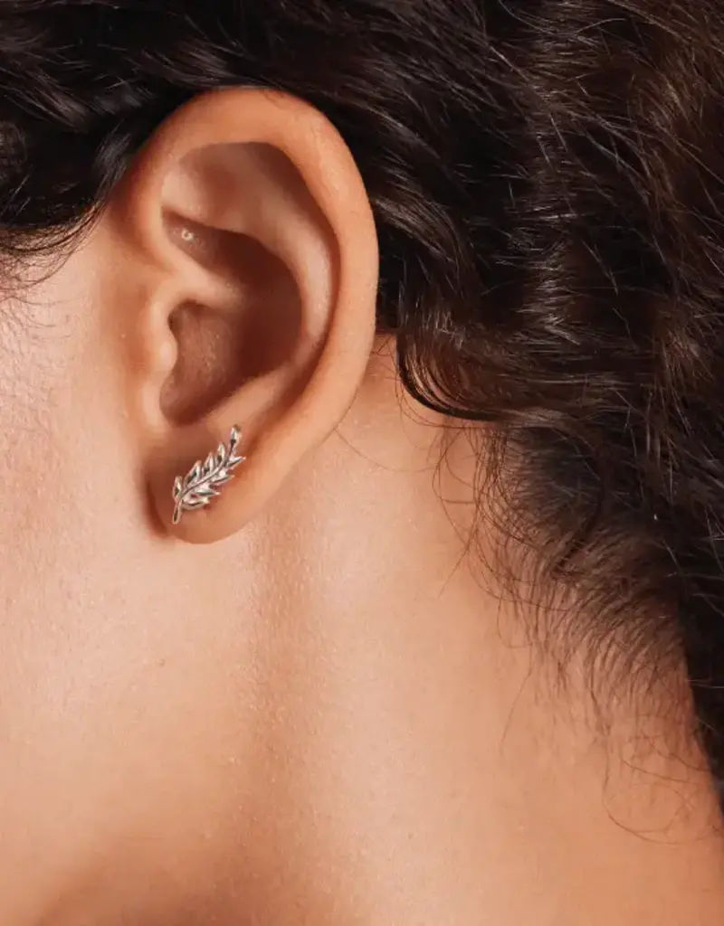 Boma Leaf Crawler Stud Earrings