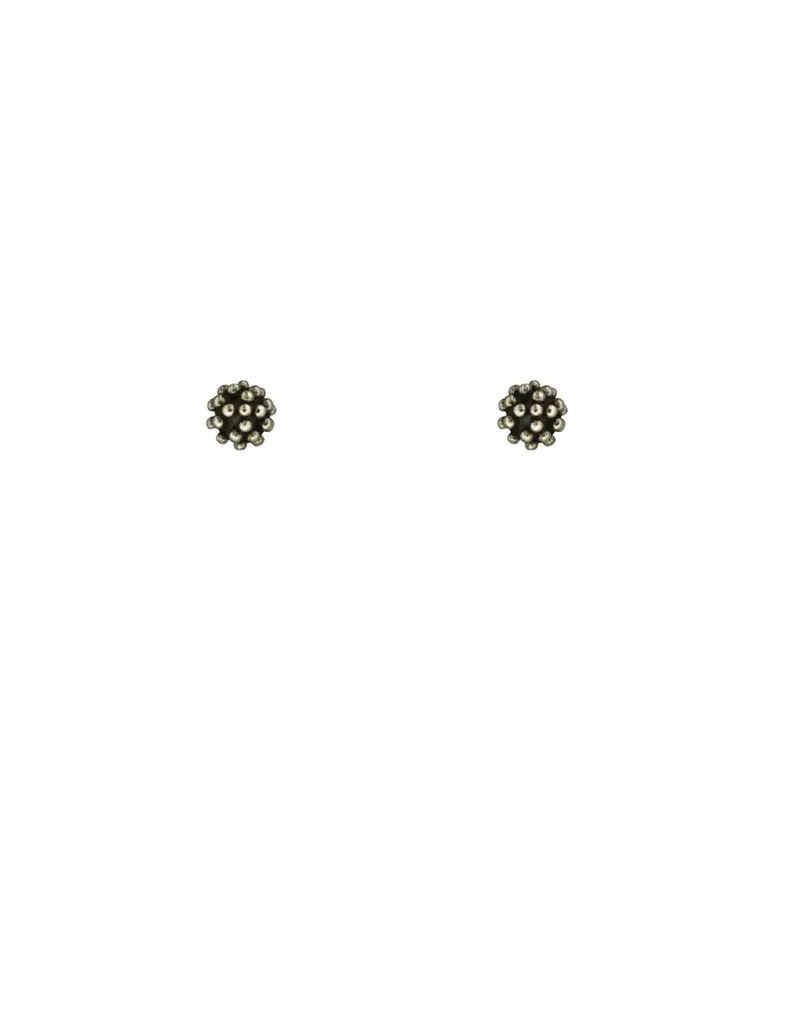 Mark Steel Dandelion Post Earrings