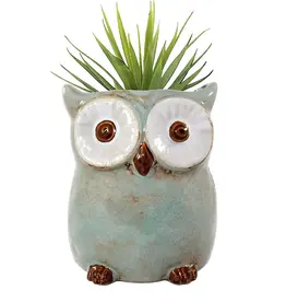 World Buyers Amelie Owl Ceramic Vase Planter