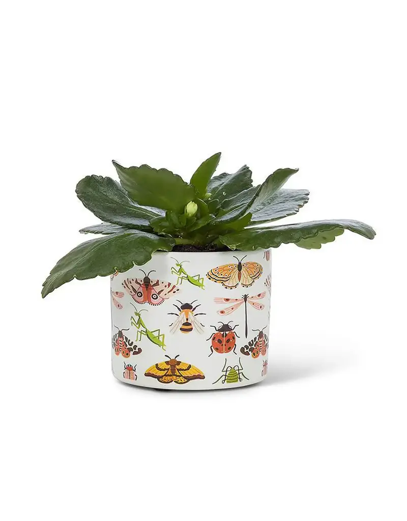 Abbott Extra Small Allover Bugs Planter