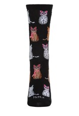 Infinity Classics Memoi Studious Cats Bamboo Blend Crew Socks