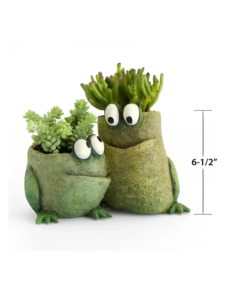 Cohasset Gifts Frog Pals Planter