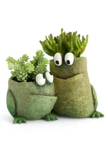 Cohasset Gifts Frog Pals Planter