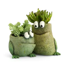 Cohasset Gifts Frog Pals Planter