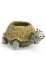 Cohasset Gifts Pogo the Tortoise Planter