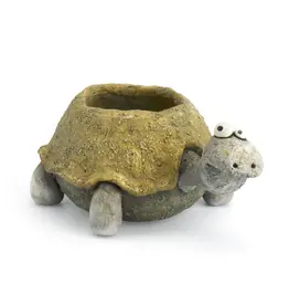 Cohasset Gifts Pogo the Tortoise Planter