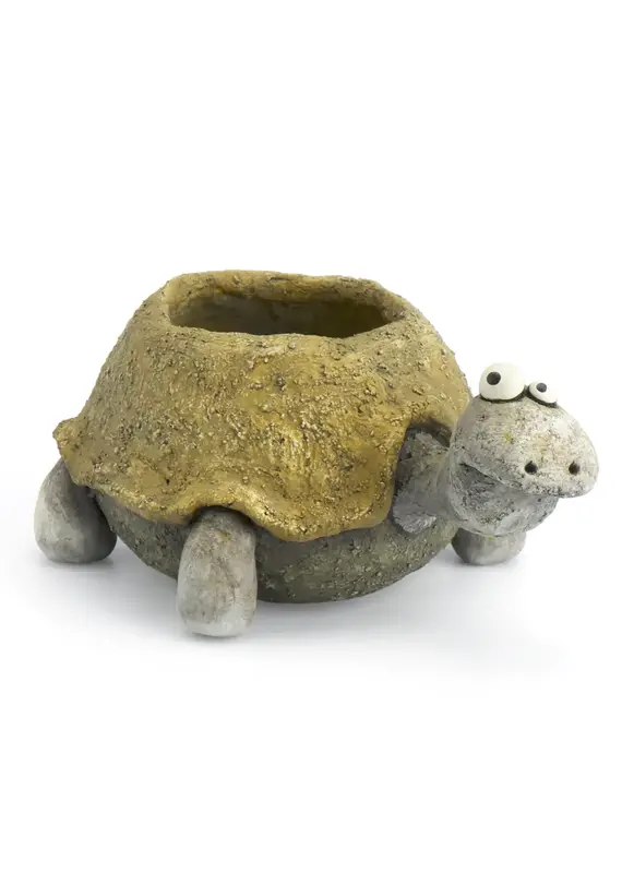 Cohasset Gifts Pogo the Tortoise Planter