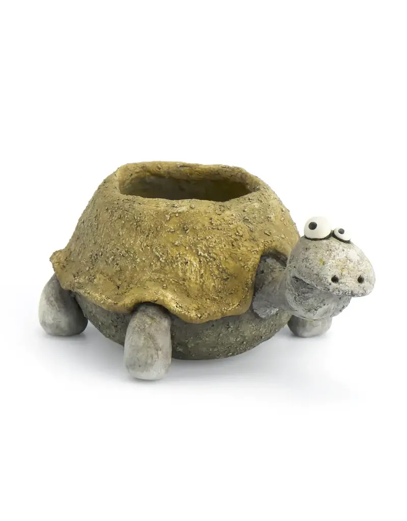 Cohasset Gifts Pogo the Tortoise Planter