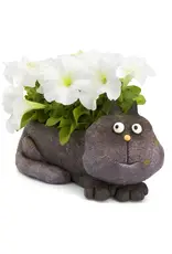 Cohasset Gifts Violet Cat Planter