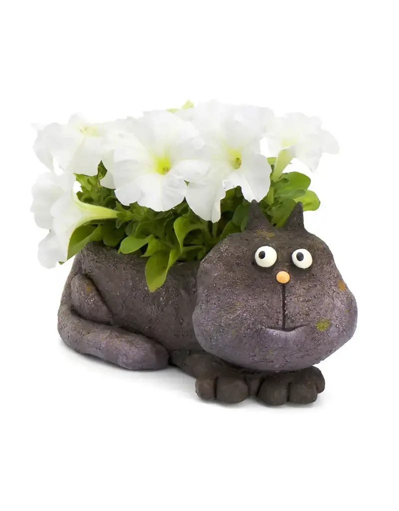 Cohasset Gifts Violet Cat Planter