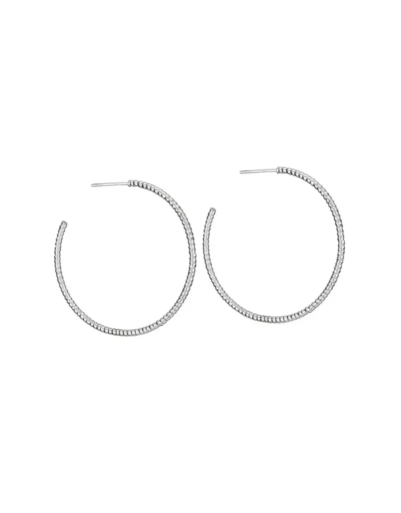 Tiger Mountain Buenos Aires Sterling Silver Hoop Earrings
