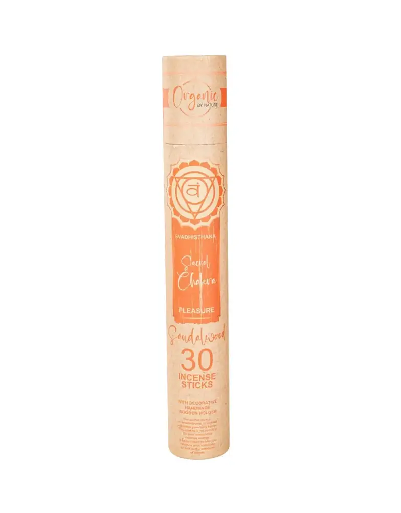 Benjamin International Chakra Incense Kit