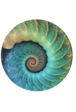 World Buyers Glass Nautilus Dish