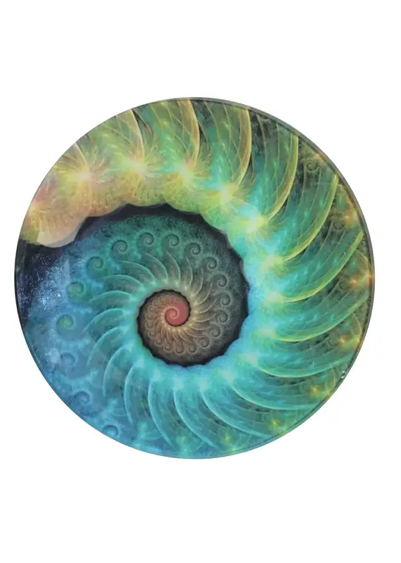 World Buyers Glass Nautilus Dish