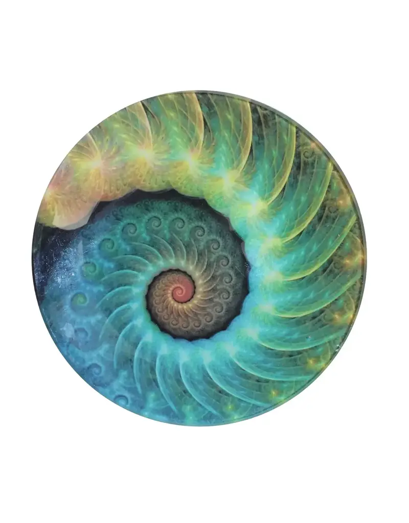 World Buyers Glass Nautilus Dish