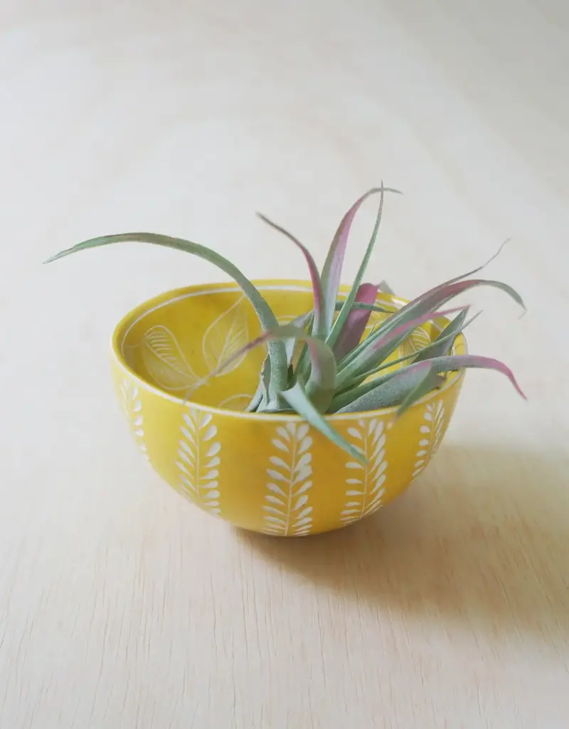 Venture Imports Two Pattern Bowl