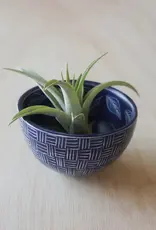 Venture Imports Two Pattern Bowl