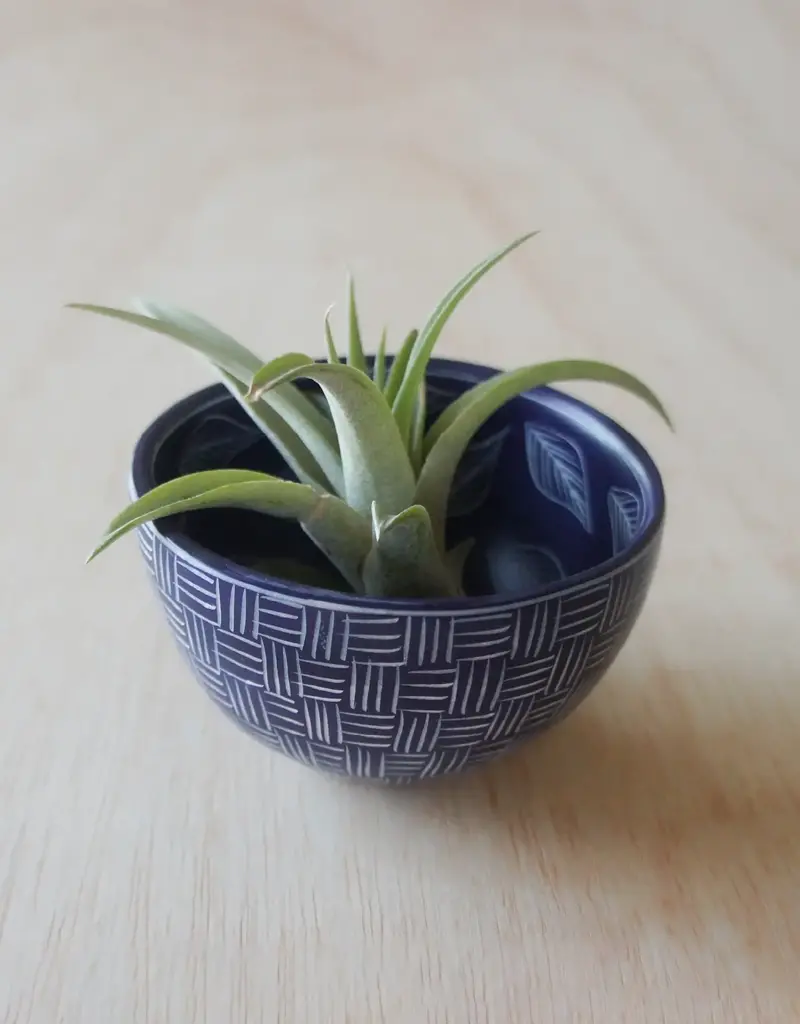 Venture Imports Two Pattern Bowl