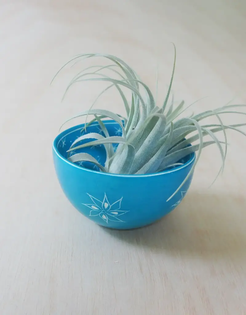 Venture Imports Two Pattern Bowl