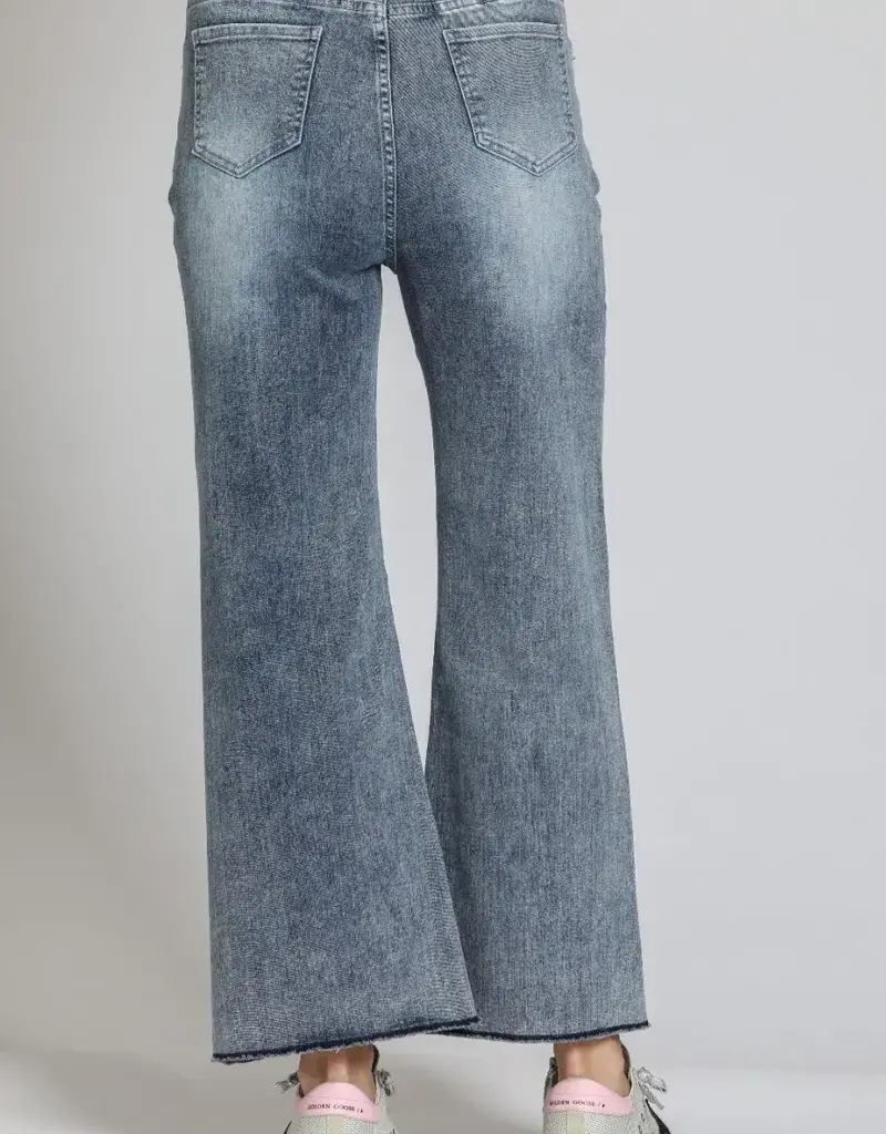 APNY Silver Chevron Wide Leg Crop Jeans