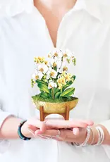 FreshCut Paper Mini Pop-Up Greeting