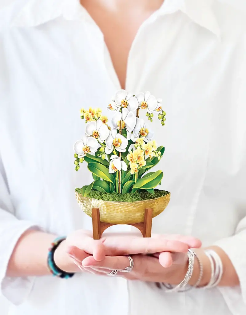 FreshCut Paper Mini Pop-Up Greeting