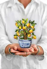 FreshCut Paper Mini Pop-Up Greeting