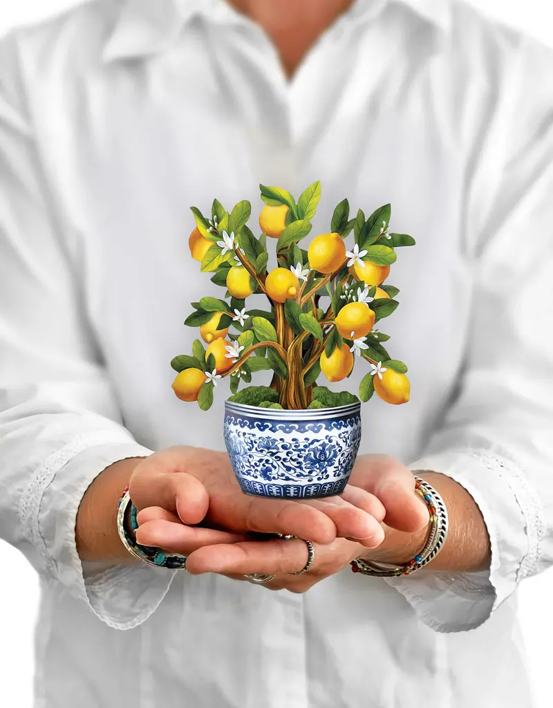 FreshCut Paper Mini Pop-Up Greeting